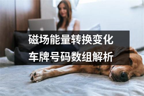 磁场能量转换变化 车牌号码数组解析