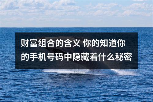 财富组合的含义 你的知道你的手机号码中隐藏着什么秘密