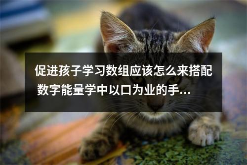 促进孩子学习数组应该怎么来搭配 数字能量学中以口为业的手机数字