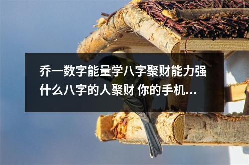 乔一数字能量学八字聚财能力强 什么八字的人聚财 你的手机号决定你老年时怎样