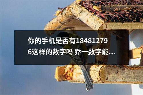 你的手机是否有184812796这样的数字吗 乔一数字能量学八字里财旺能否发财