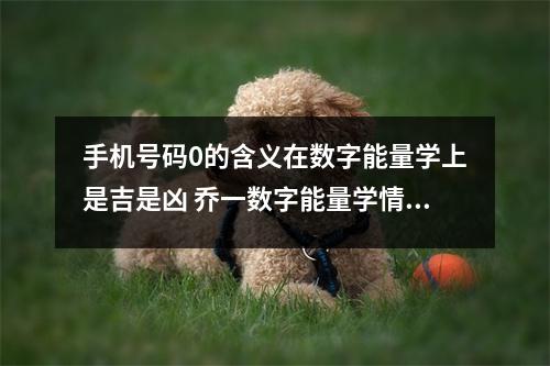 手机号码0的含义在数字能量学上是吉是凶 乔一数字能量学情绪难以控制的磁场组合