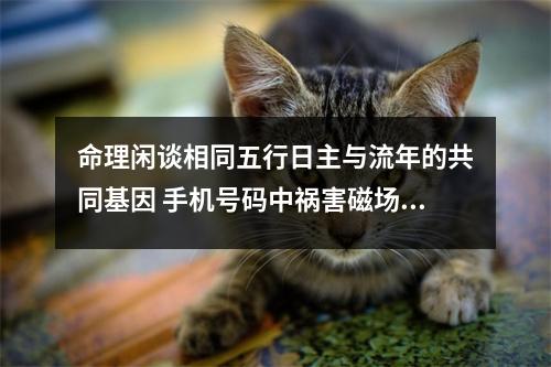 命理闲谈相同五行日主与流年的共同基因 手机号码中祸害磁场是否成为你成功的阻碍