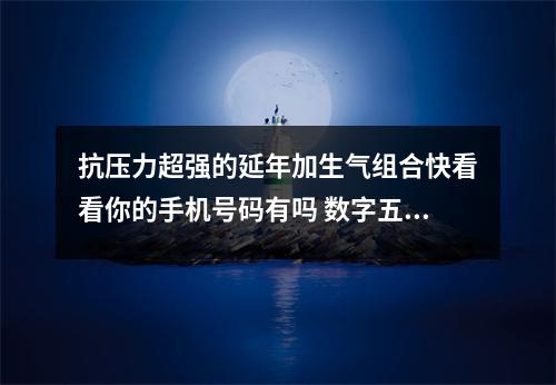 抗压力超强的延年加生气组合快看看你的手机号码有吗 数字五行解说