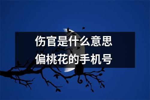 伤官是什么意思 偏桃花的手机号