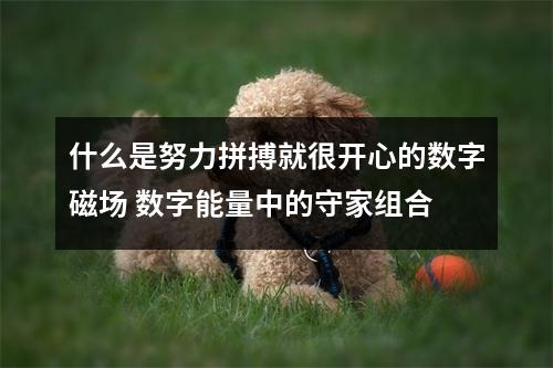 什么是努力拼搏就很开心的数字磁场 数字能量中的守家组合