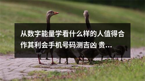 从数字能量学看什么样的人值得合作其利会手机号码测吉凶 贵人带财运的手机号码数字是什么其利会手机号码测吉凶