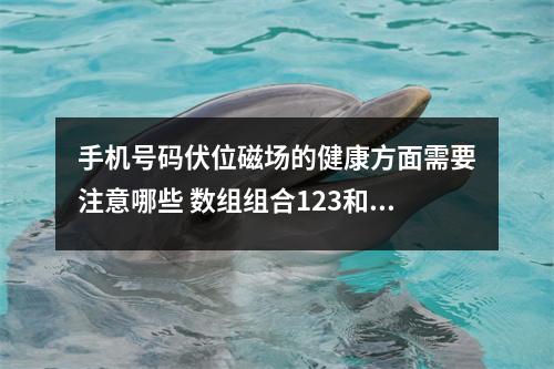 手机号码伏位磁场的健康方面需要注意哪些 数组组合123和371的不同之处