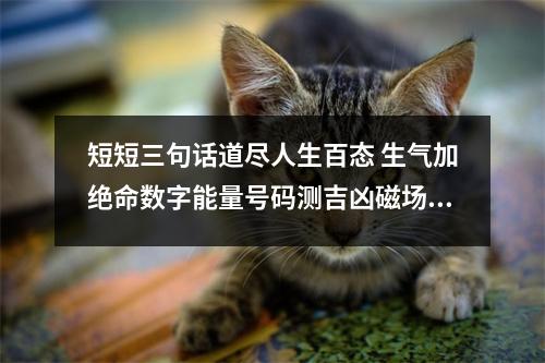 短短三句话道尽人生百态 生气加绝命数字能量号码测吉凶磁场详解