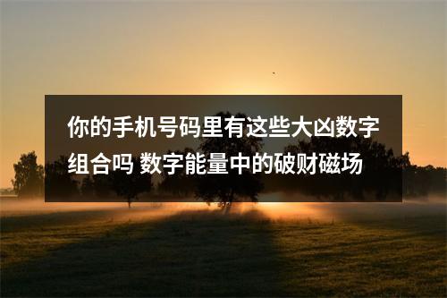 你的手机号码里有这些大凶数字组合吗 数字能量中的破财磁场