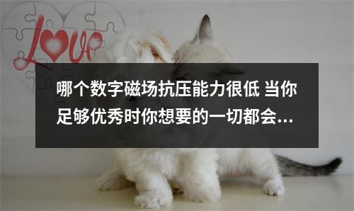 哪个数字磁场抗压能力很低 当你足够优秀时你想要的一切都会来找你