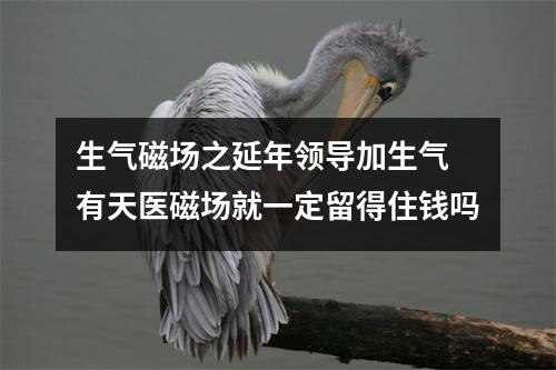 生气磁场之延年领导加生气 有天医磁场就一定留得住钱吗