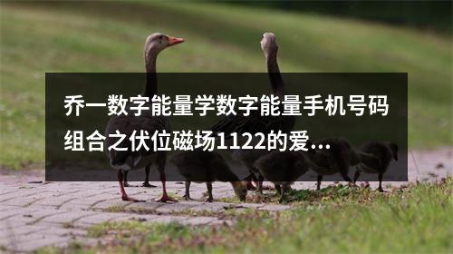 乔一数字能量学数字能量手机号码组合之伏位磁场1122的爱情特质是什么呢 易学的道路上没有捷径数字能量学也一样