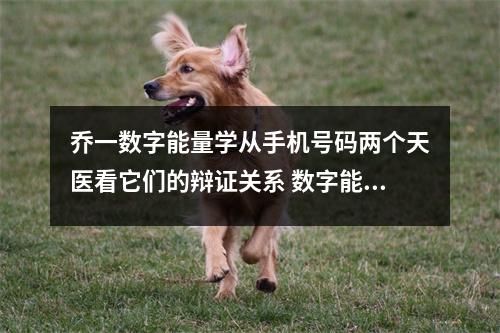 乔一数字能量学从手机号码两个天医看它们的辩证关系 数字能量学一个能让你赚到钱的手机号码数组