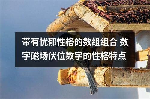 带有忧郁性格的数组组合 数字磁场伏位数字的性格特点