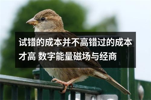 试错的成本并不高错过的成本才高 数字能量磁场与经商