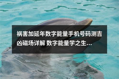 祸害加延年数字能量手机号码测吉凶磁场详解 数字能量学之生气磁场解析