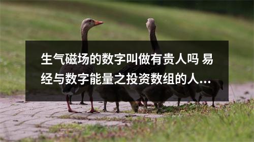 生气磁场的数字叫做有贵人吗 易经与数字能量之投资数组的人的互动模式是怎样的呢
