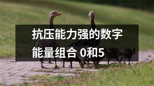 抗压能力强的数字能量组合 0和5