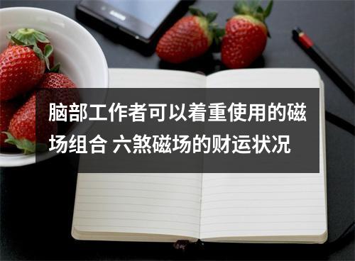 脑部工作者可以着重使用的磁场组合 六煞磁场的财运状况