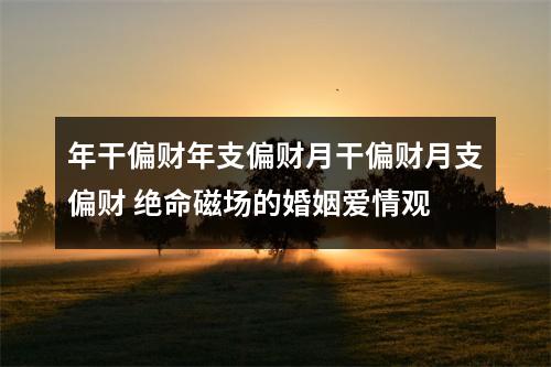 年干偏财年支偏财月干偏财月支偏财 绝命磁场的婚姻爱情观