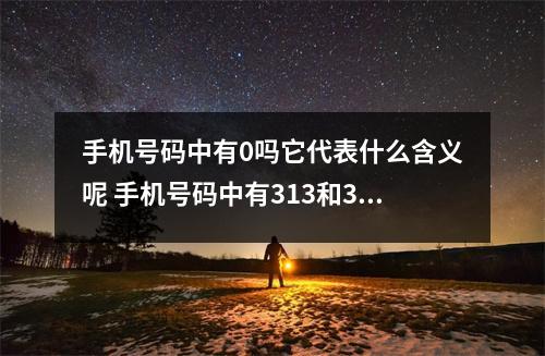 手机号码中有0吗它代表什么含义呢 手机号码中有313和311哪个更好