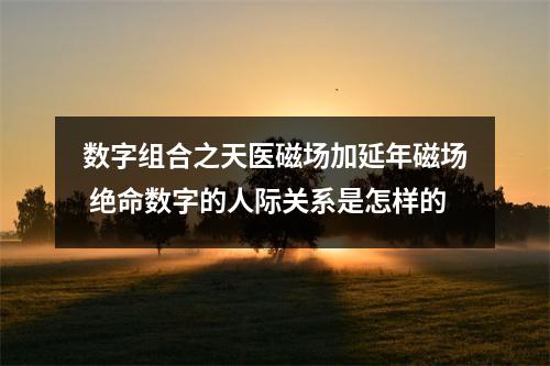 数字组合之天医磁场加延年磁场 绝命数字的人际关系是怎样的