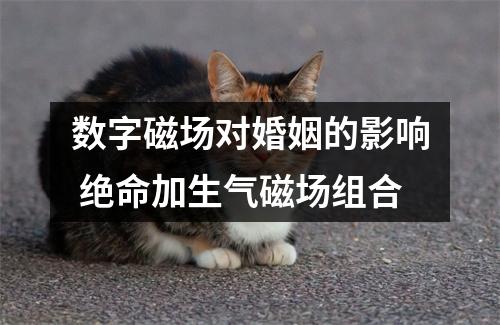 数字磁场对婚姻的影响 绝命加生气磁场组合