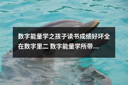 数字能量学之孩子读书成绩好坏全在数字里二 数字能量学所带来事物的是偶然吗