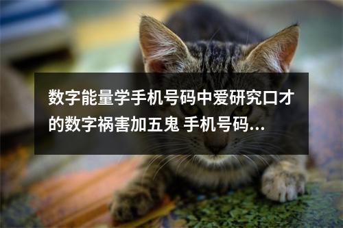 数字能量学手机号码中爱研究口才的数字祸害加五鬼 手机号码中有这样的数组要留心