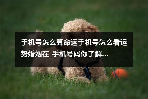 手机号怎么算命运手机号怎么看运势婚姻在  手机号码你了解多少？手机号码都有那些含