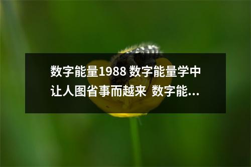 数字能量1988 数字能量学中让人图省事而越来  数字能量丰胸 数字能量风水能量号码解读数字“8
