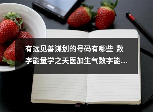 有远见善谋划的号码有哪些  数字能量学之天医加生气数字能量磁场数组