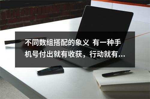 不同数组搭配的象义  有一种手机号付出就有收获，行动就有钱！