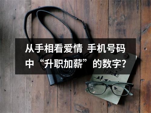 从手相看爱情  手机号码中“升职加薪”的数字？