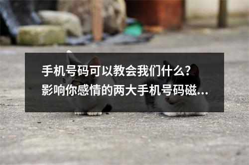 手机号码可以教会我们什么？  影响你感情的两大手机号码磁场你知道吗？