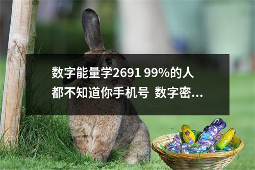 数字能量学2691 99%的人都不知道你手机号  数字密码之生气和祸害组合在一起.