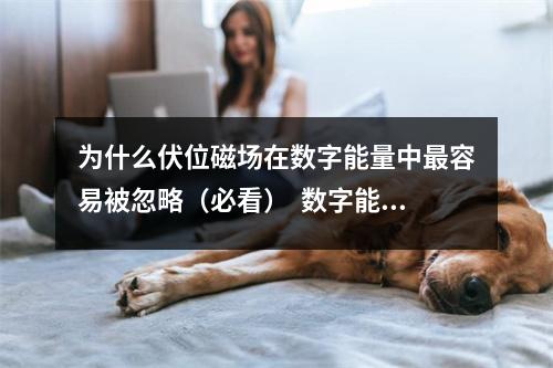为什么伏位磁场在数字能量中最容易被忽略（必看）  数字能量的后果 数字能量学之让贵人带财的手机号