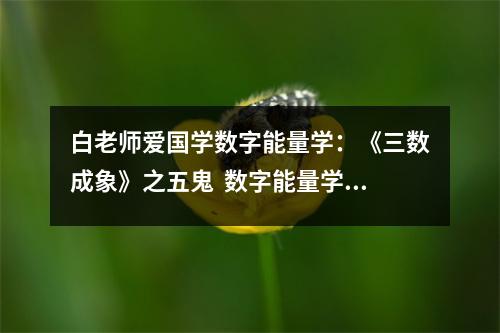 白老师爱国学数字能量学：《三数成象》之五鬼  数字能量学生气磁场