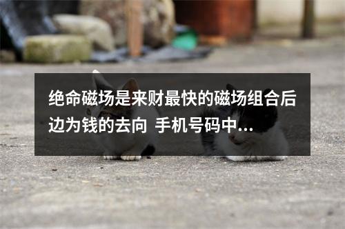 绝命磁场是来财最快的磁场组合后边为钱的去向  手机号码中五鬼磁场！