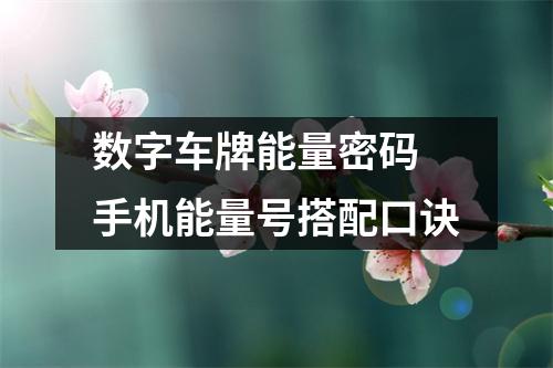 数字车牌能量密码 手机能量号搭配口诀