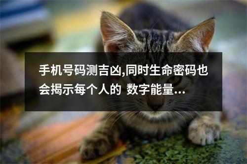 手机号码测吉凶,同时生命密码也会揭示每个人的  数字能量车祸案例 你的手机号码中有0和5吗。